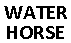 WATER HORSE